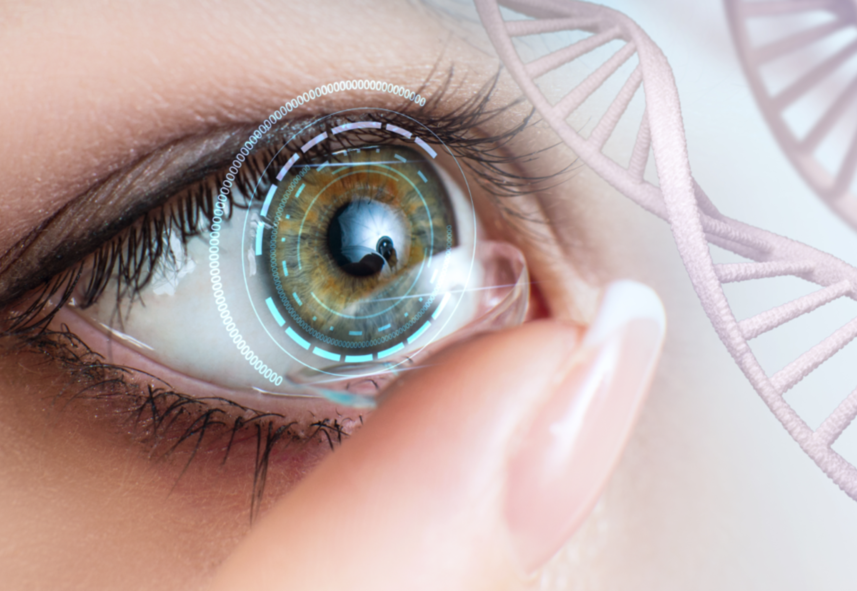contact lens fitting